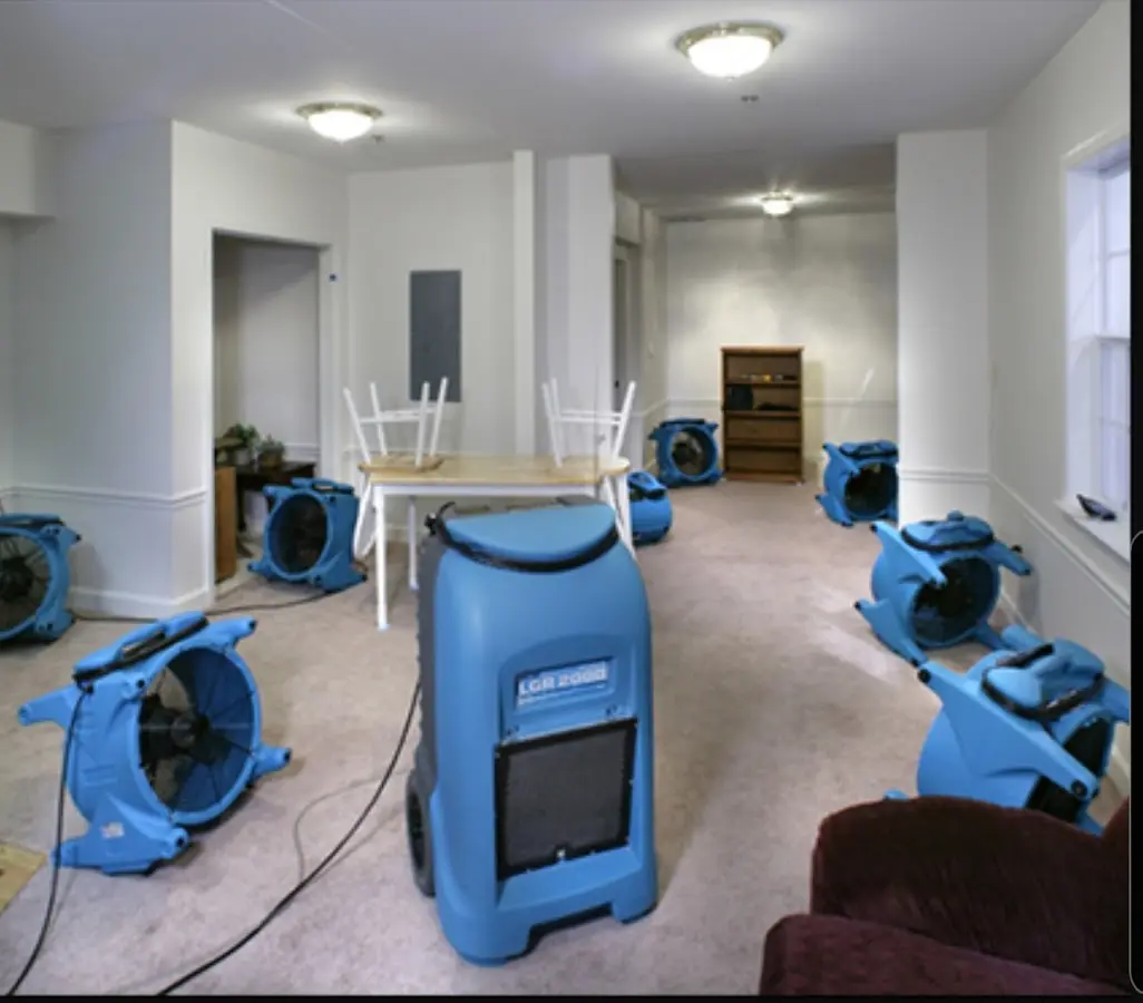 Air movers and dehumidifier setup for Water Extraction & Removal in Citrus Park