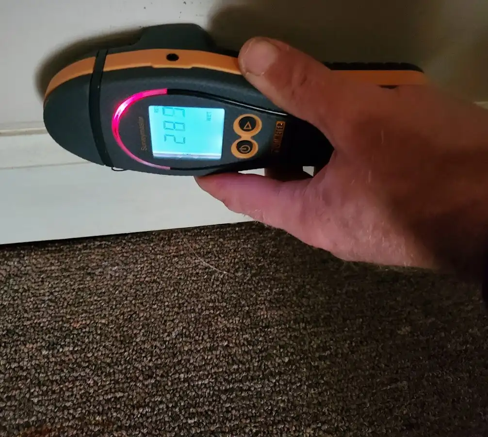 Moisture detection at baseboard during Burst Pipe Cleanup in Citrus Park